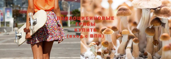 ешки Арсеньев