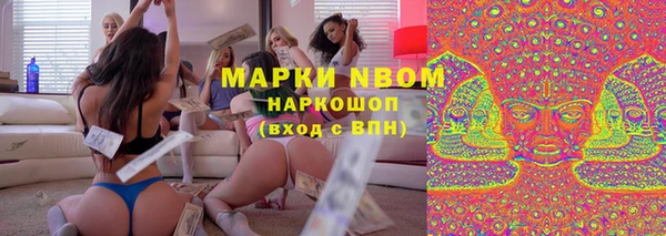 стафф Аркадак