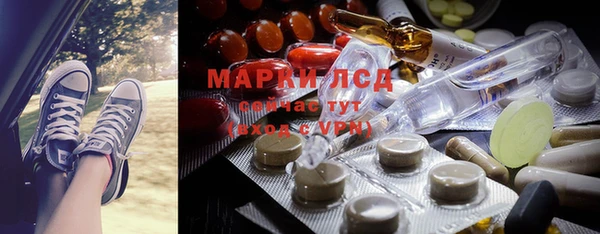 стафф Аркадак